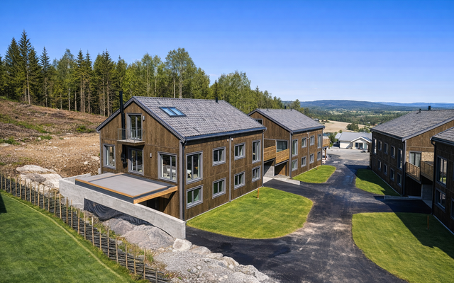 Sunne hus på Brådalsfjellet – inneklima og energi i fokus