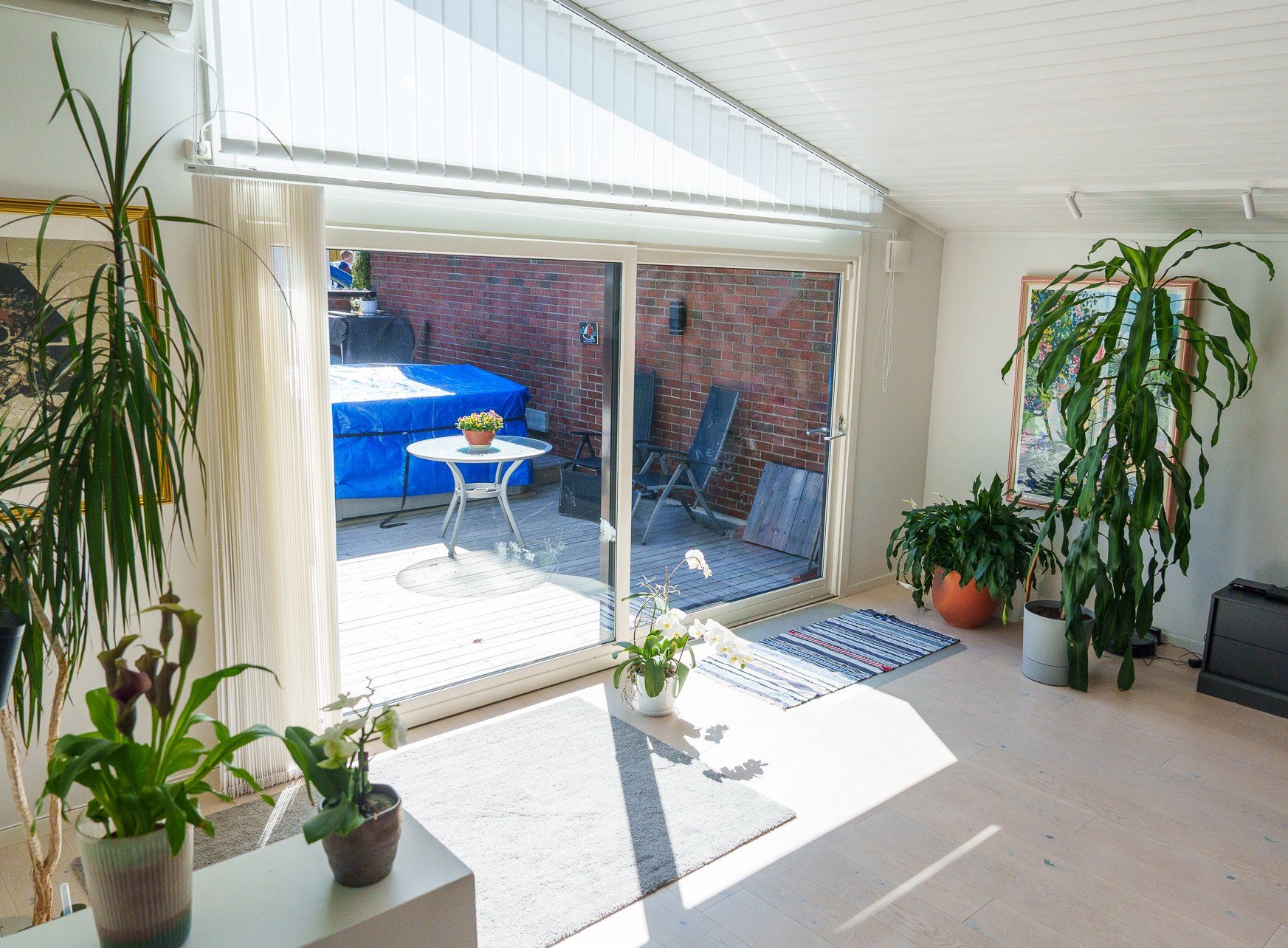 Lys stue med store vindusflater og grønne planter i en bolig med balansert ventilasjon.